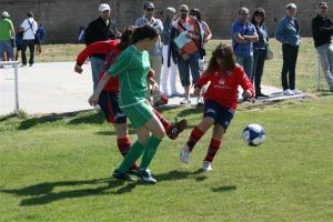 Torneo de la Amistad Femenino Miranda de Ebro 2011
