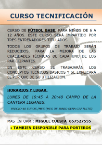 Cartel Tecnificación 2013