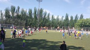 Dia del Deporte de Leganes - Madrid 2016 (4)